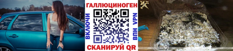 купить цена Боготол Галлюциногенные грибы Psilocybine cubensis